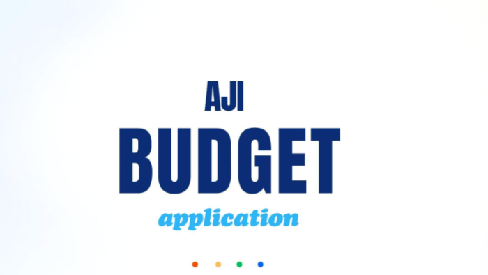 Bandeau - AJI budget.png